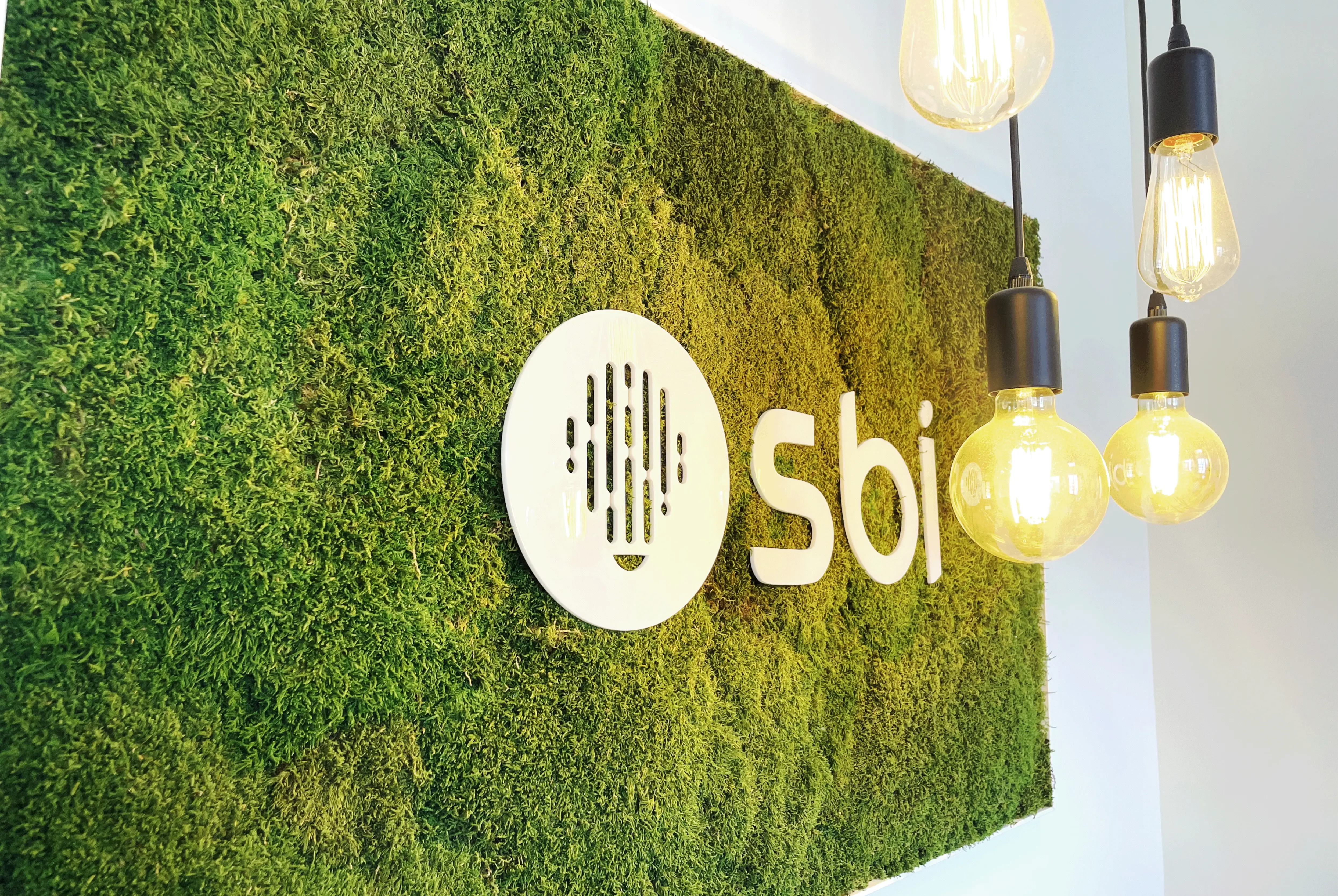 SBI Group – Team cohesion